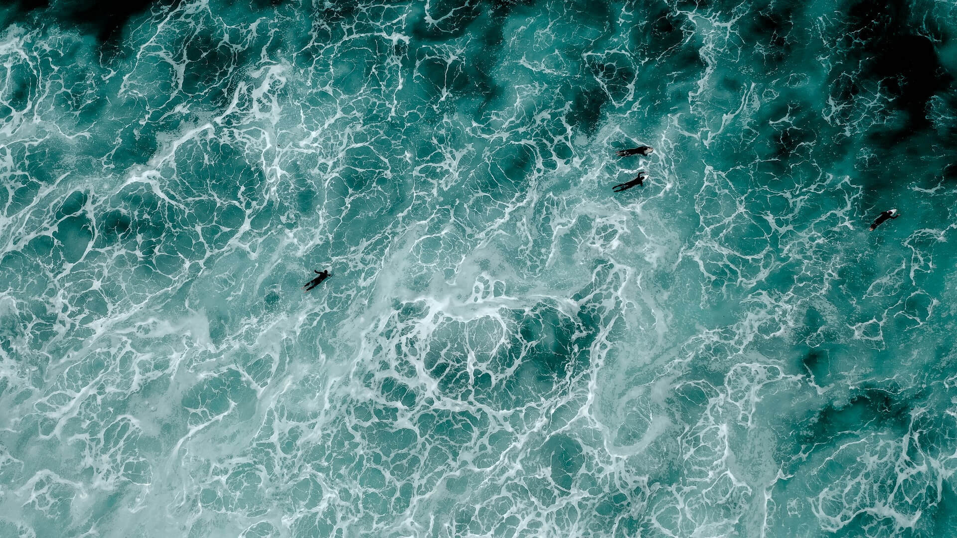 A day at the sea